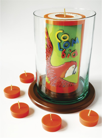 Vela Decorativa en Relieve: Guacamaya Escarlata 1 / handmade candle: scarlet macaw 1