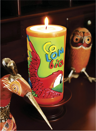 Vela Decorativa en Relieve: Guacamaya Escarlata 1 / handmade candle: scarlet macaw 1
