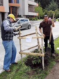 Javier L&oacute;pez - Director ILUMINARTE &reg; - Responsabilidad Social - Ecolog&iacute;a / Social Responsibility - ecology